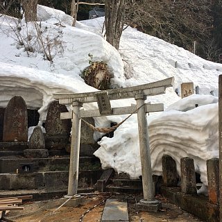 190301_007.jpg